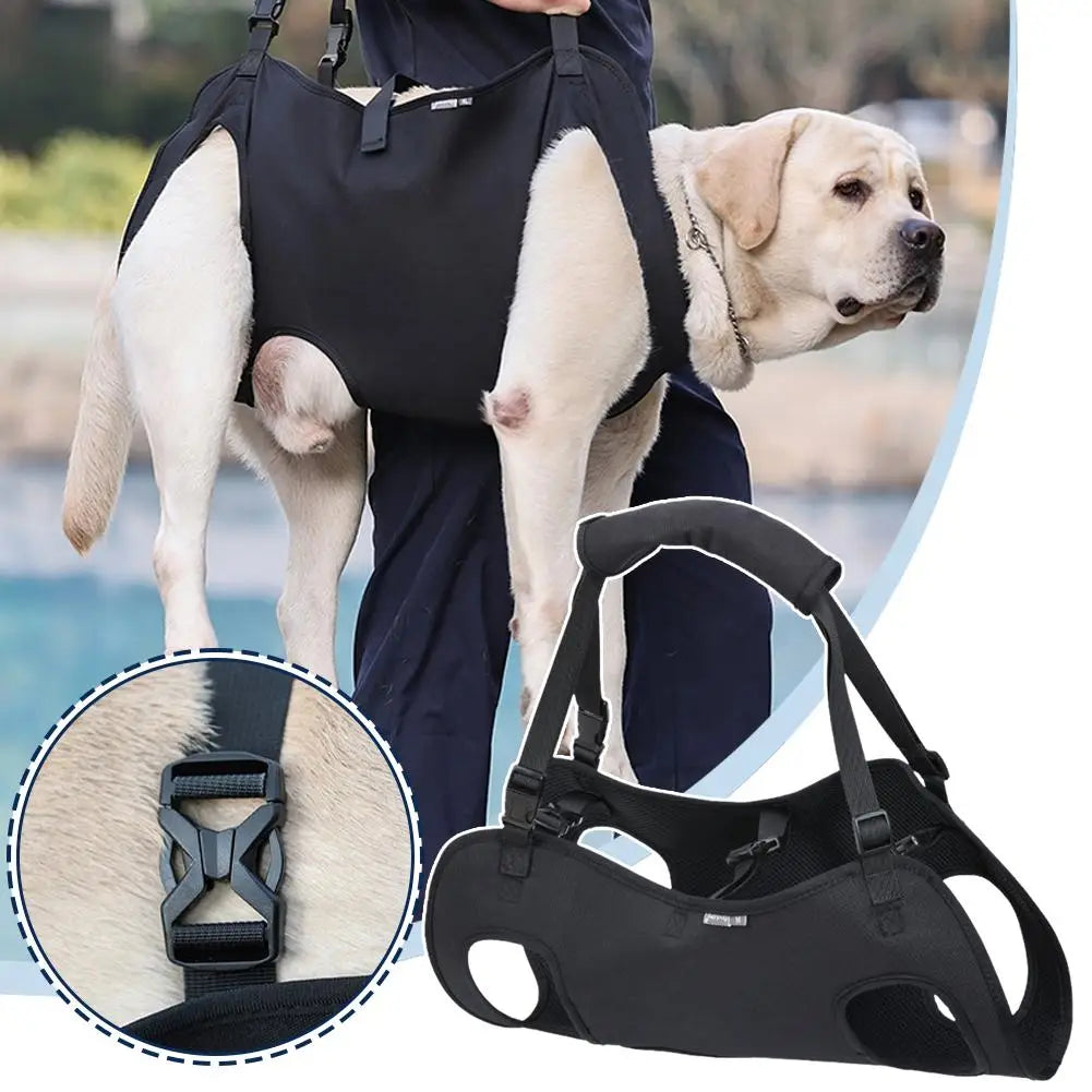 LiftEase Mobility Sling