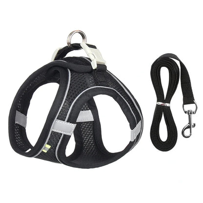 PuppyFlex Adjustable Harness & Leash Set