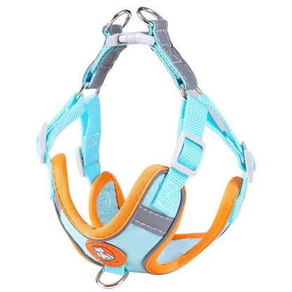 AeroStride Soft-Flex Harness & Leash Set