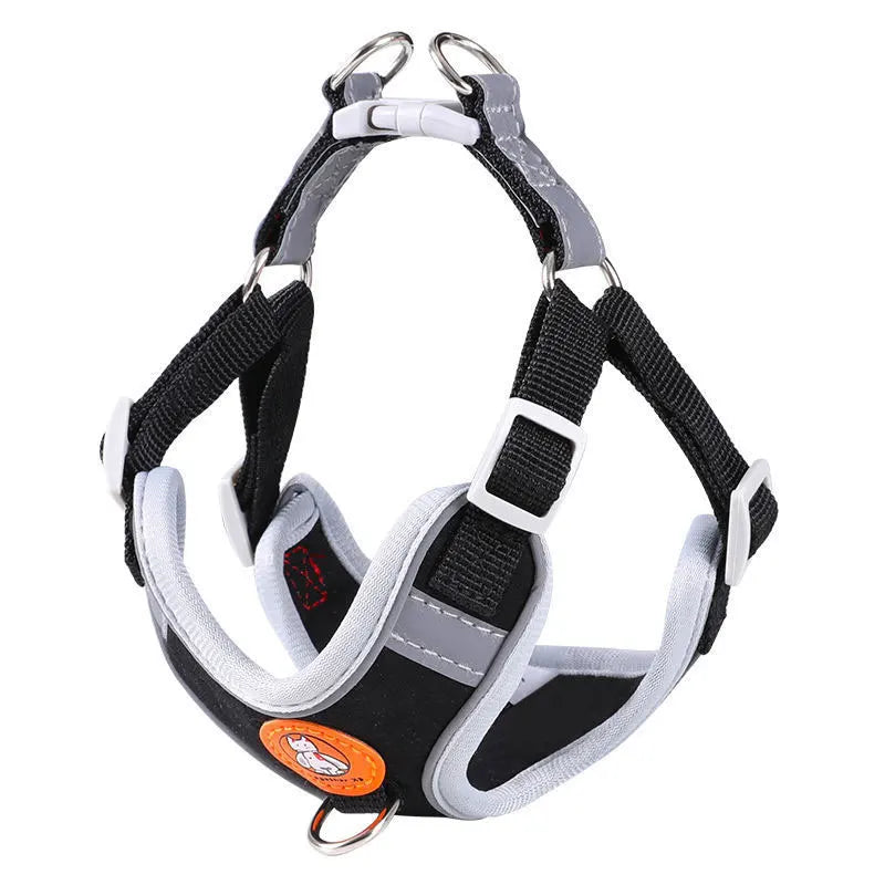 AeroStride Soft-Flex Harness & Leash Set