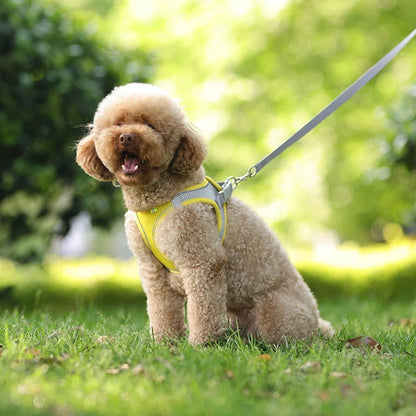 PuppyFlex Adjustable Harness & Leash Set