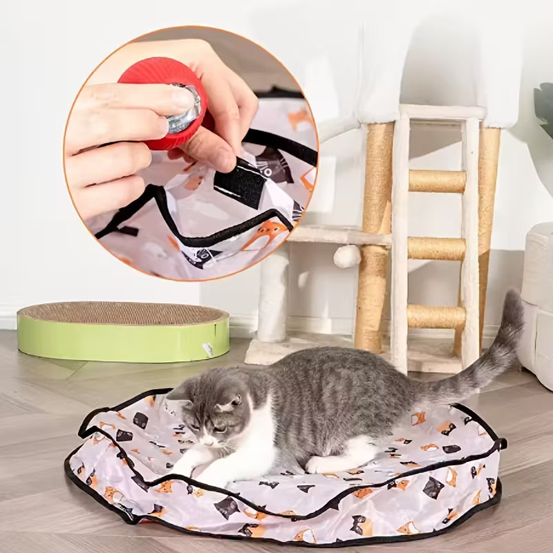 Interactive Cat Ball with Hide-and-Seek Feature